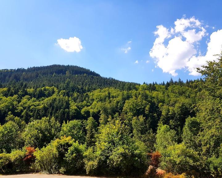 Höhengasthaus Herbstwasen